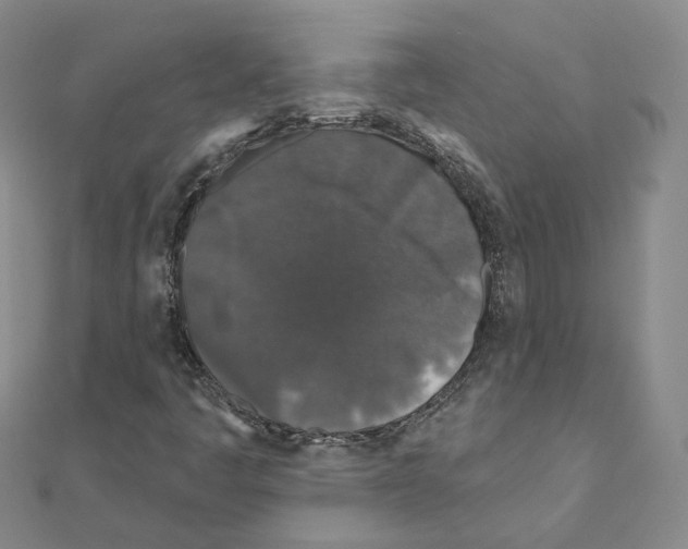 X0000111001445200907311021