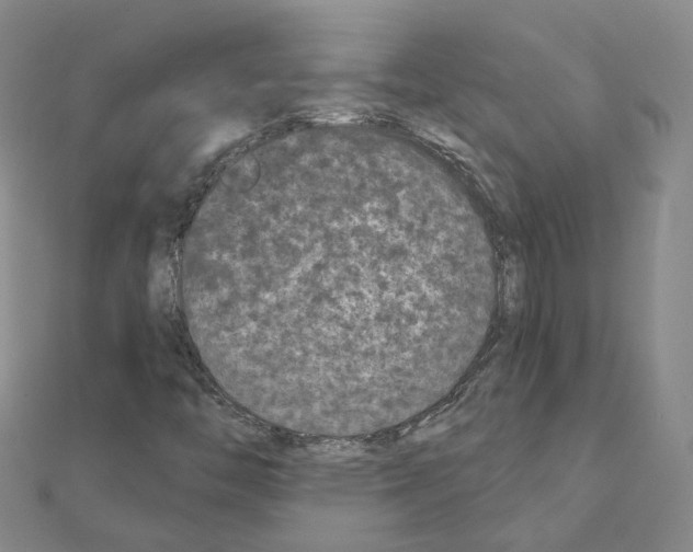 X0000111001446200907311021