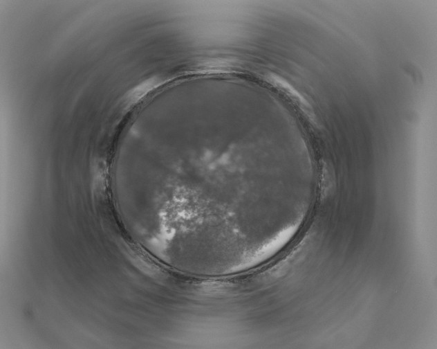 X0000111001449200907311021