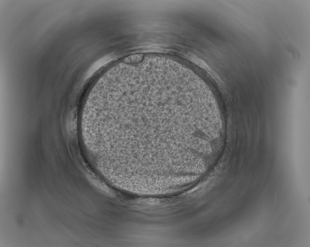 X0000111001450200907311021