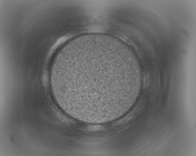 X0000111001454200907311021