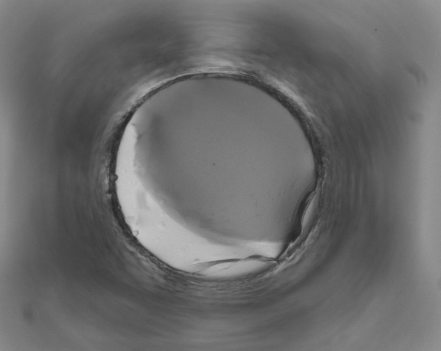 X0000111001455200907311021