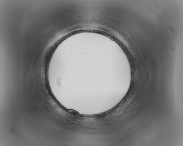 X0000111001456200907311021