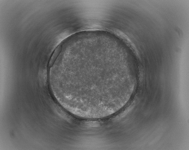 X0000111001457200907311021