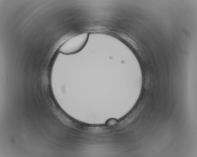 X0000111001458200907311021