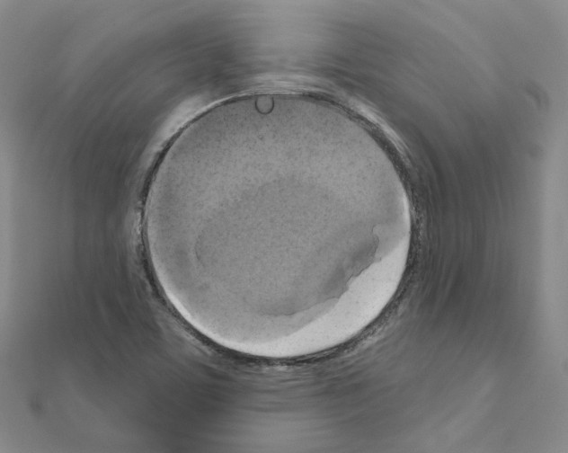 X0000111001459200907311021