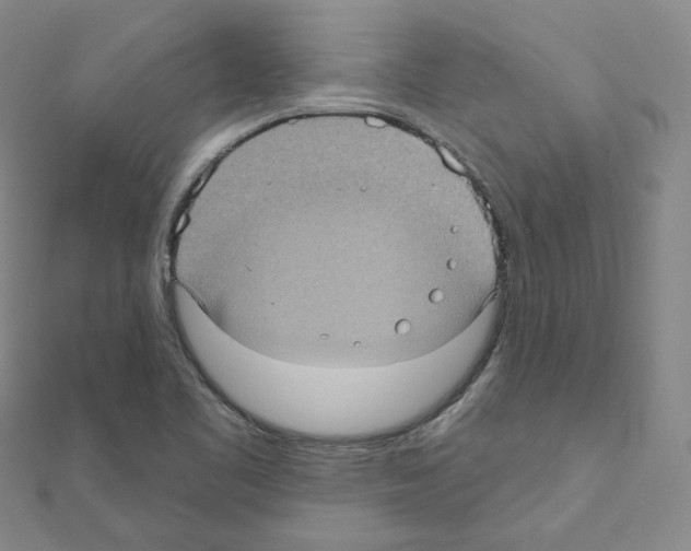 X0000111001461200907311021