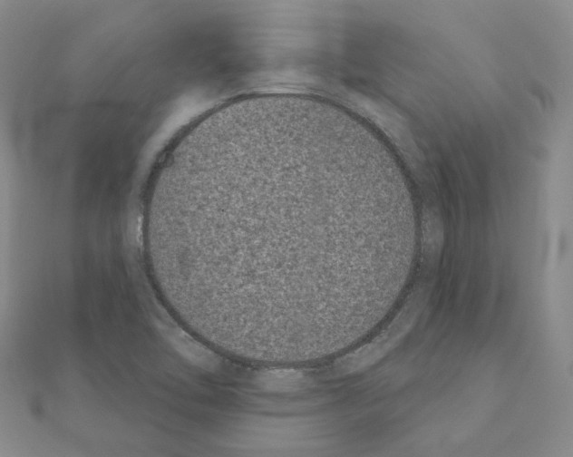 X0000111001462200907311021