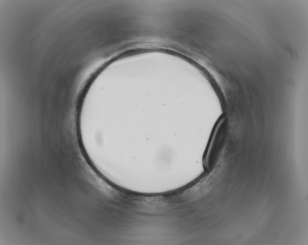 X0000111001464200907311021