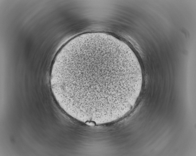 X0000111001465200907311021