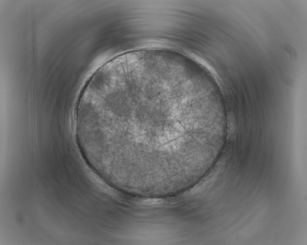 X0000111001467200907311021