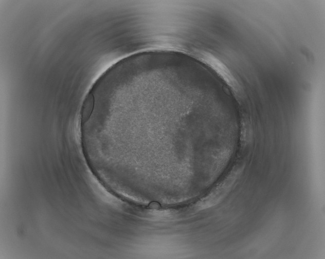 X0000111001468200907311021