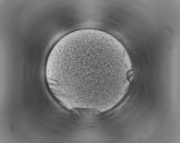 X0000111001469200907311021