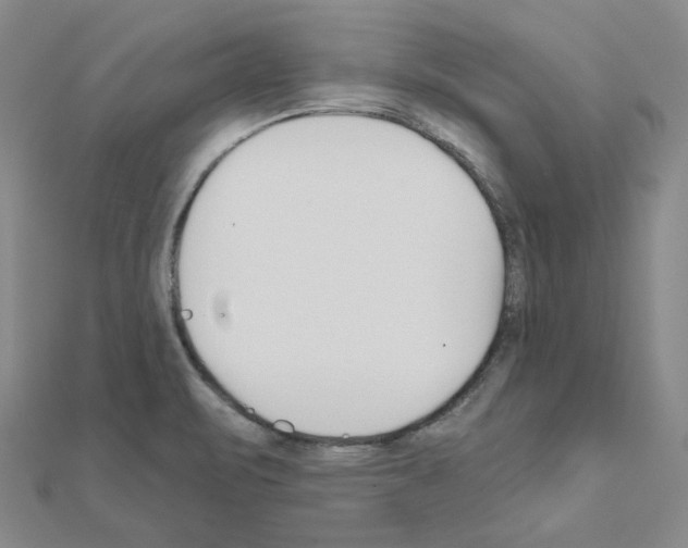 X0000111001471200907311021