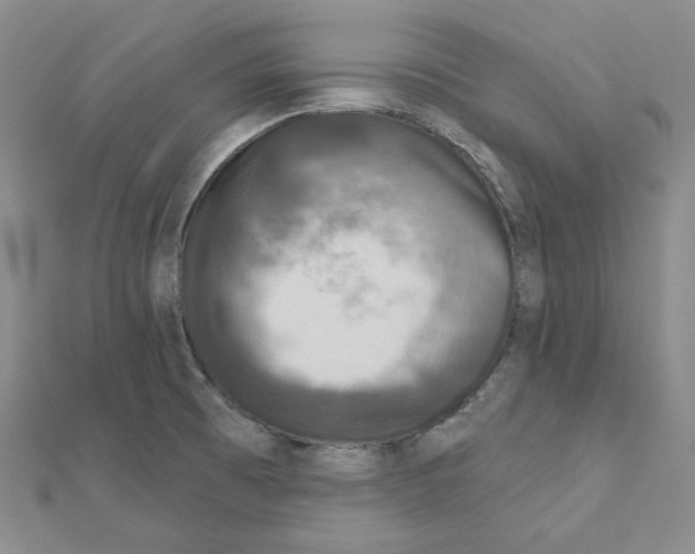 X0000111001473200907311021