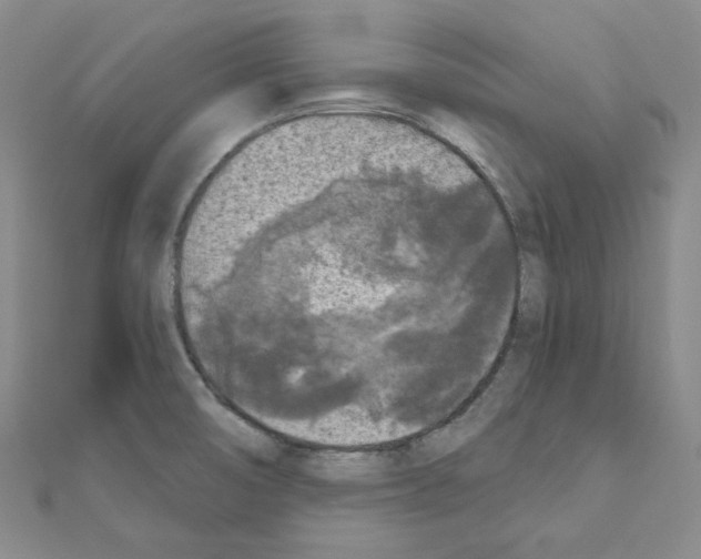 X0000111001474200907311021