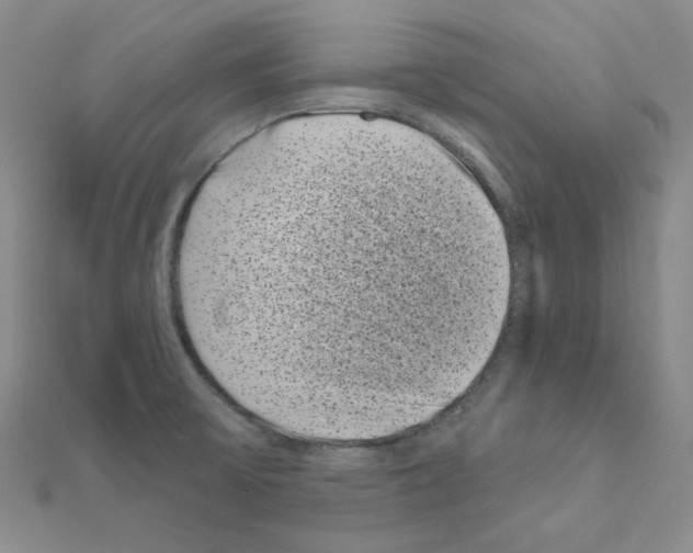 X0000111001475200907311021