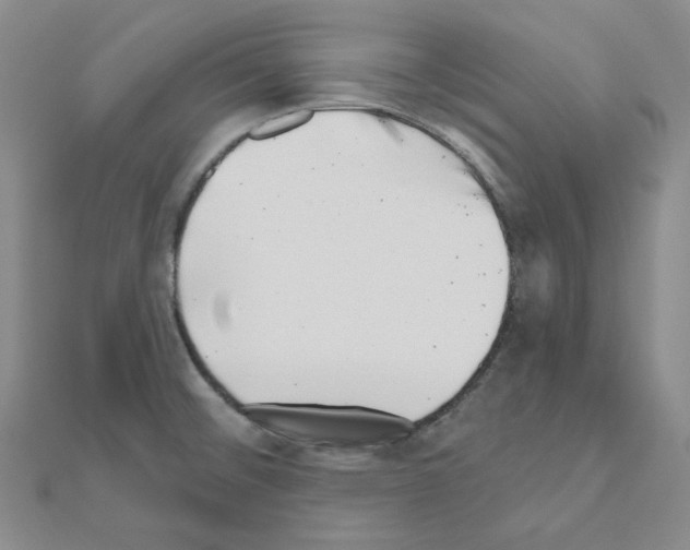 X0000111001476200907311021