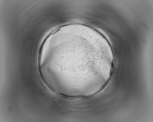 X0000111001477200907311021