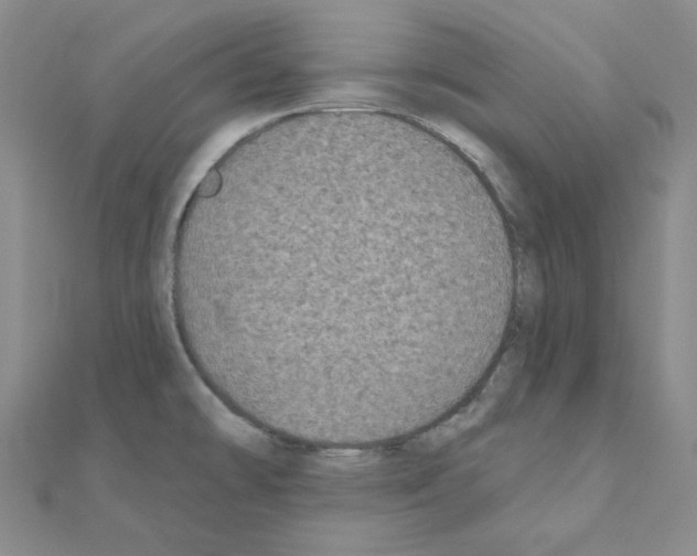 X0000111001478200907311021