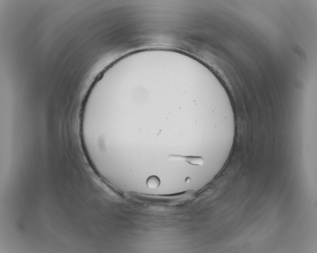 X0000111001480200907311021