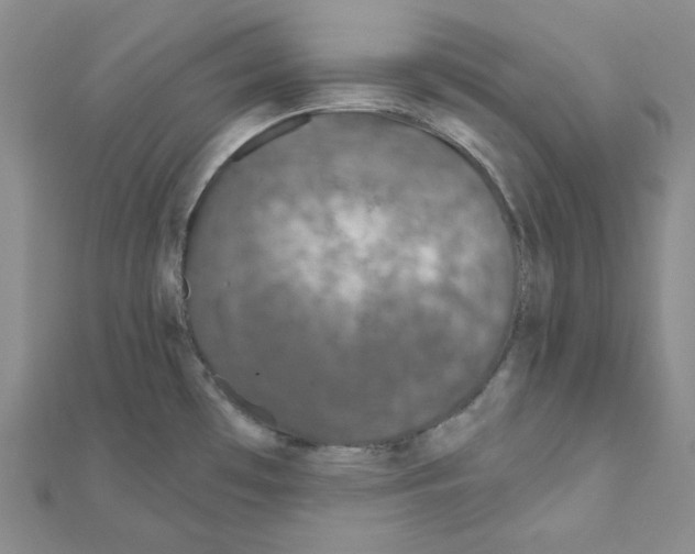 X0000111001481200907311021