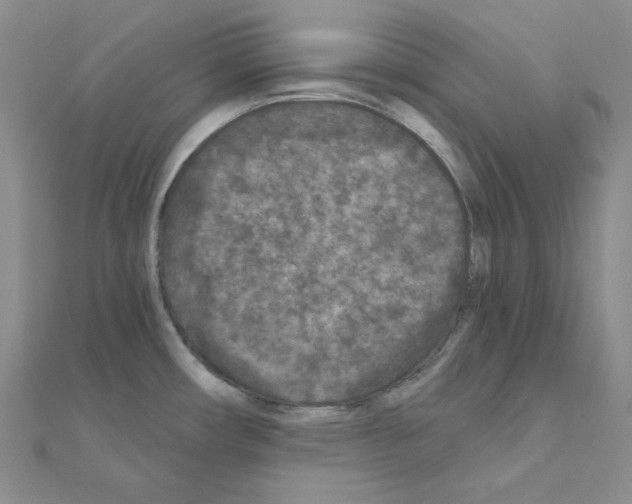 X0000111001482200907311021