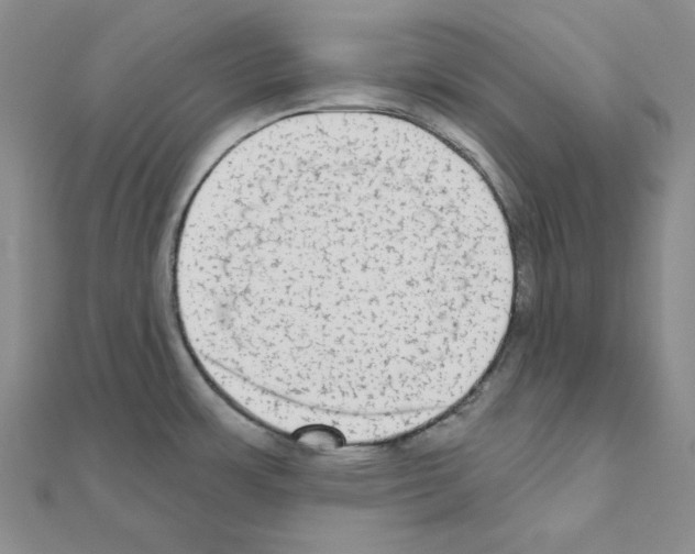 X0000111001483200907311021