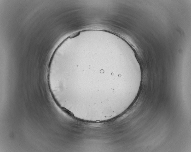 X0000111001484200907311021