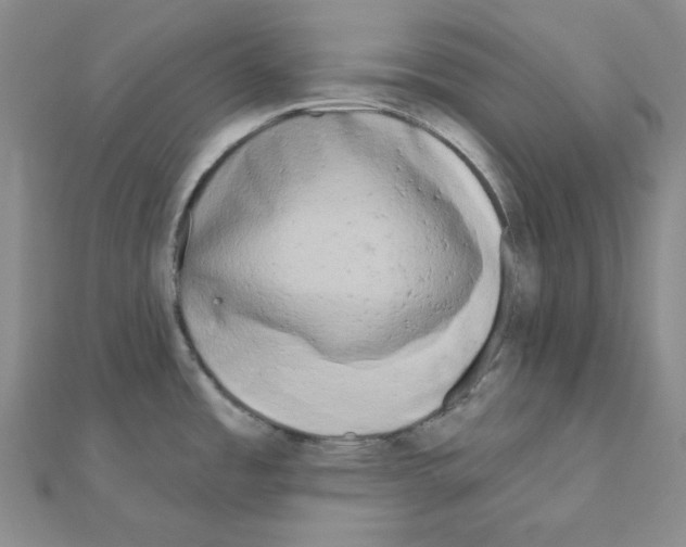 X0000111001485200907311021