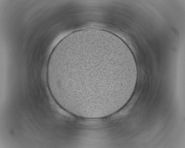 X0000111001486200907311021