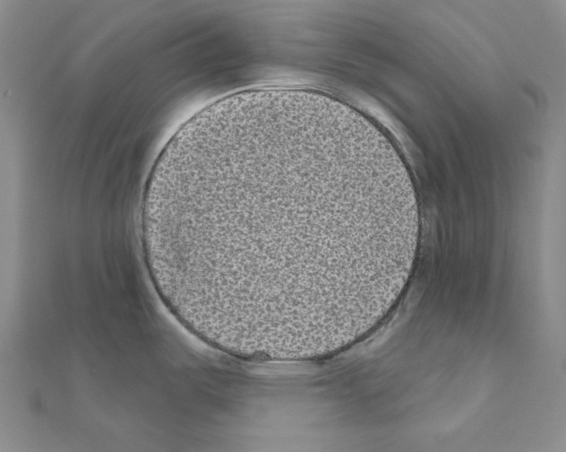 X0000111001487200907311021