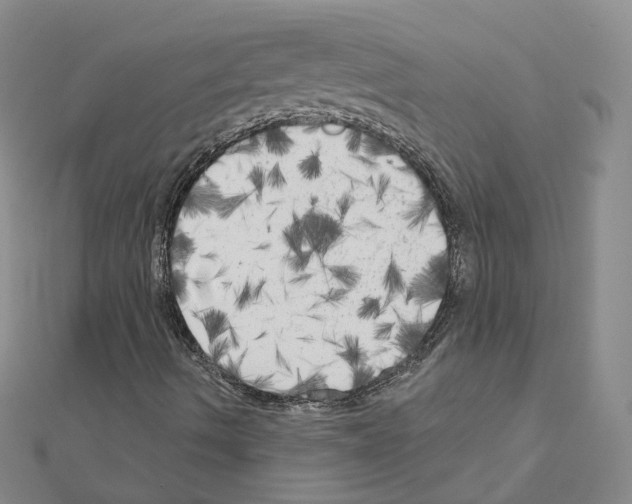 X0000111001490200907311020