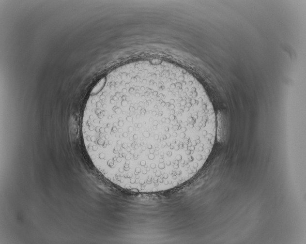 X0000111001491200907311020