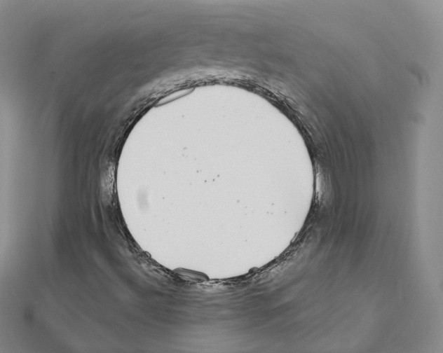 X0000111001492200907311020