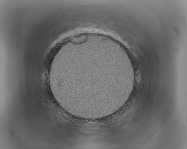 X0000111001495200907311020