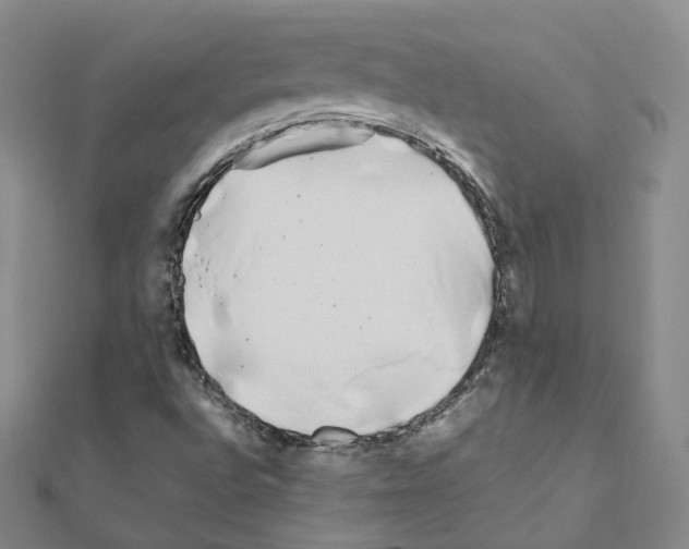 X0000111001496200907311020