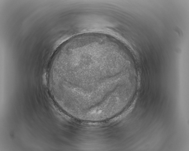 X0000111001497200907311020