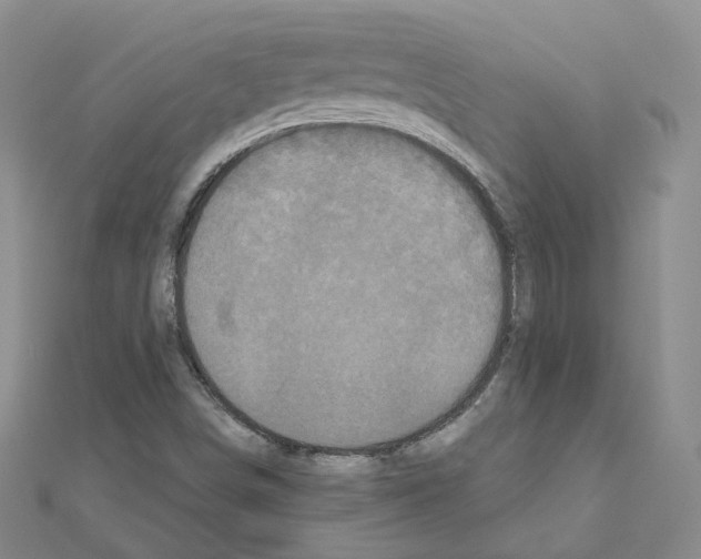 X0000111001498200907311020