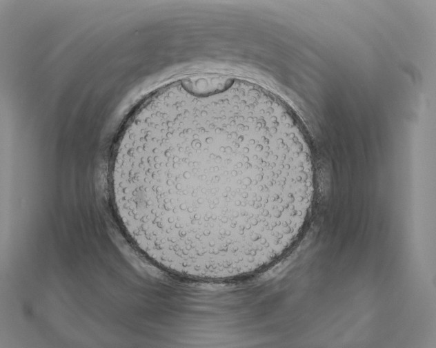 X0000111001499200907311020