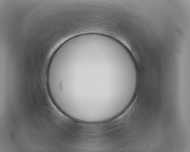 X0000111001500200907311020