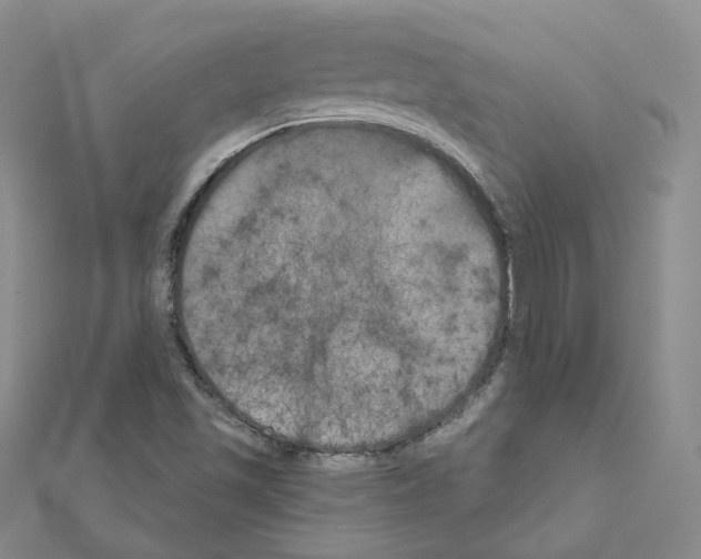 X0000111001501200907311020