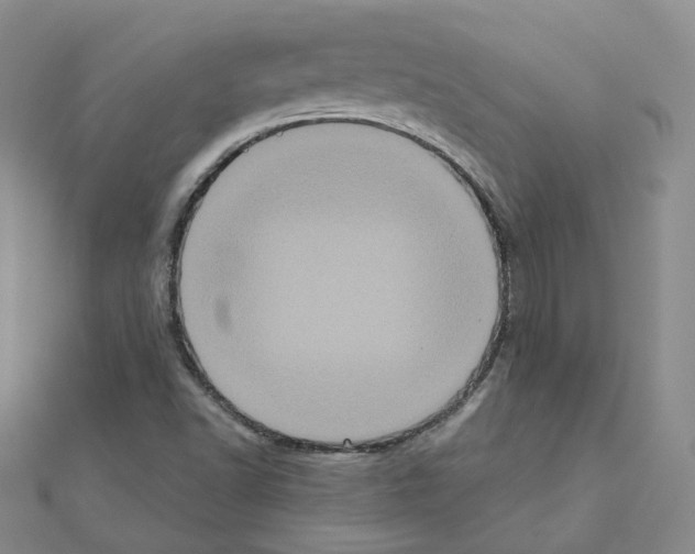 X0000111001502200907311020