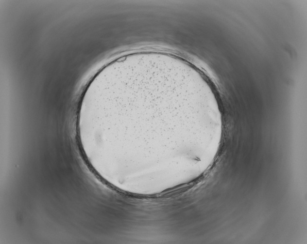 X0000111001504200907311020