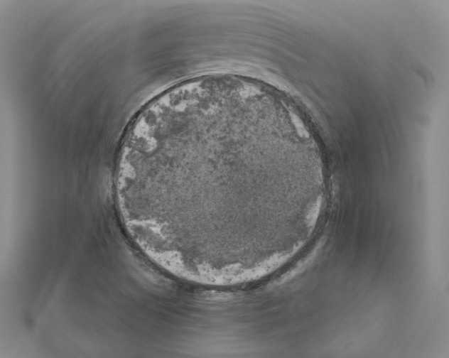 X0000111001505200907311020