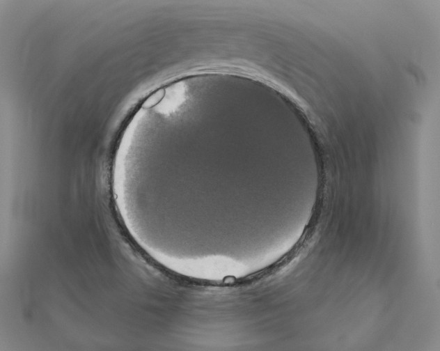 X0000111001506200907311020