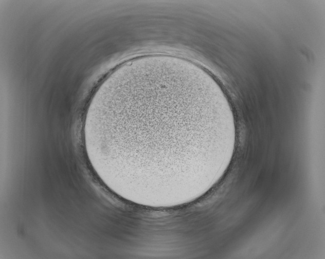 X0000111001507200907311020