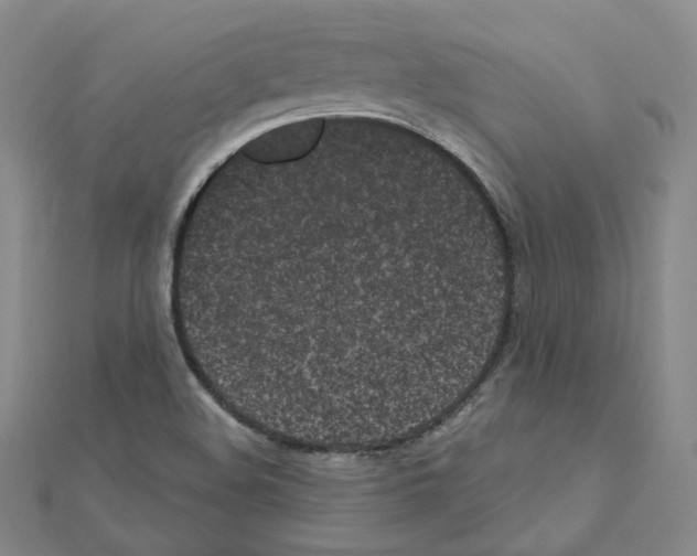 X0000111001508200907311020