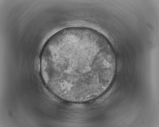 X0000111001509200907311020