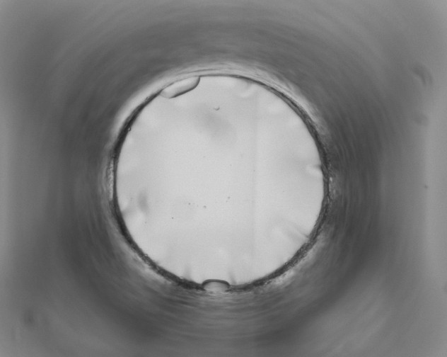 X0000111001510200907311020